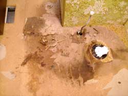 interior dry rot repair