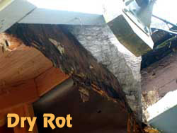 Exterior Dry Rot